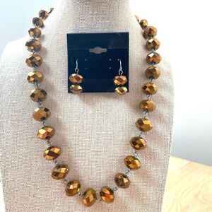 Vintage Fashion Necklace and Earrings. Brown.